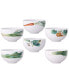 Kyoka Shunsai Bowls 21 oz Set/6