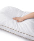 100% Cotton Medium Support Feather Down 2-Pack Pillow, Queen