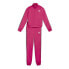 Фото #1 товара PUMA Tape Cl Tracksuit