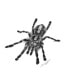 Фото #2 товара Dino Tomic Spider Art Block Framed 18" x 18"