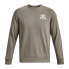 UNDER ARMOUR Rival Terry Graphic Crew sweatshirt