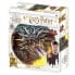 PRIME 3D Drake Harry Potter Lenticular Puzzle 300 Pieces