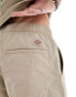 Dickies jackson tech nylon tape belt shorts in sand- exclusive to asos