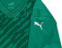 Puma Koszulka męska Puma teamULTIMATE zielona 705371 05 XL