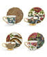 Creatures of Curiosity Set of 4 Teacups and Saucers