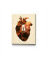 Фото #1 товара Enkel Dika Heart Explorer Museum Mounted Canvas 24" x 32"
