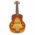 Ortega Rusl-HSB Concert Ukulele