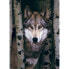 Puzzle Grauer Wolf 1000 Teile