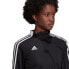 Фото #3 товара Adidas Tiro 21 Training Top W GM7318 sweatshirt