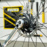 PEDRO´S Pro Cassette Lockring Socket