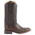 Ferrini Belly Caiman Chocolate Square Toe Cowboy Mens Brown Casual Boots 12493-