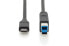DIGITUS USB Type-C connection cable, Gen2, Type-C to B