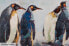 Фото #4 товара Acrylbild handgemalt Kreis der Pinguine