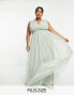 Anaya Plus Bridesmaid v neck ruffle waist maxi dress in sage green