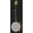 Фото #2 товара Gold Tone CC-100R 5 String Banjo