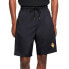 Фото #4 товара Шорты Nike Giannis Coming to America Casual Shorts CQ6314-010