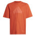 Фото #1 товара T-shirt adidas FI Logo Tee Jr. HR6296