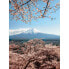 Фото #1 товара Fototapete Mount Fuji
