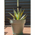 Plant pot Riviera Green Ø 50 cm