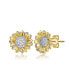 Chic 14K Gold Plated Cubic Zirconia Stud Earrings