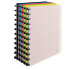 Фото #1 товара ESSELTE Assorted Vivida PP A4 Fixed Covers 80 Sleeves Folder