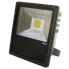 PTL LED Flood PRO 50W cold white IP 65, 50W COB LED, 120°