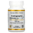 Andrographis Immune with AP-Bio, 100 mg, 30 Tablets