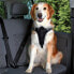 Фото #2 товара Автомобильные шлейки TRIXIE для собак (L) 65–80 см/25 мм
