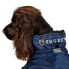 Фото #9 товара EQUESTRO Ribe dog coat