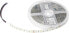 Фото #1 товара Taśma LED Orno Taśma LED 12V, Samsung chipset 5050, 60L/m, 14,4W/m, IP65, RGBW, 5m