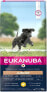 EUKANUBA Eukanuba EUK Junior Large Breed Chicken 12KG