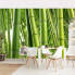 Фото #2 товара Обои Bilderwelten Bamboo Trees