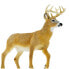 Фото #6 товара SAFARI LTD Whitetail Deer Buck Figure