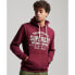 Фото #2 товара SUPERDRY Athletic Script Graphic hoodie