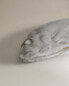 Decorative ceramic fish