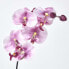 Фото #8 товара 2er-Set Künstliche Orchideen 43 cm