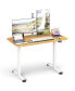 Electric Standing Desk Adjustable Stand up Computer Desk Anti-collision