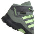 ADIDAS Terrex Mid Goretex Hiking Shoes