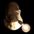 Фото #4 товара Настенный светильник DKD Home Decor Горилла чёрный белый смола 23 x 19 x 32 см (2 шт.)