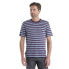 ICEBREAKER Drayden Stripe Merino short sleeve T-shirt