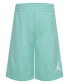 ფოტო #3 პროდუქტის Little Boys Jumpman Blocked Taping Tee and Shorts Set