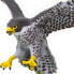 Фото #6 товара SAFARI LTD Peregrine Falcon Figure