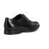 ფოტო #5 პროდუქტის GEOX U16E3B00043 Hampstead Shoes