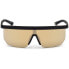 Фото #1 товара Очки WEB EYEWEAR WE0221-02G SUNGLASSES