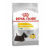 ROYAL CANIN Mini Dermacomfort Beef Vegetable 3kg Dog Food Разноцветный, 3kg - фото #2