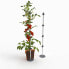 Tomato Buddy 3er Set