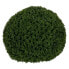 Фото #1 товара Декоративное растение Зеленый PVC 38 x 38 cm