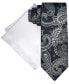 Men's Paisley Tie & Solid Pocket Square Set