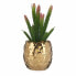 Decorative Plant Ceramic Golden Cactus Green Plastic 6 Units