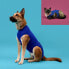 Recovery Vest for Pets KVP Blue 25-29 cm